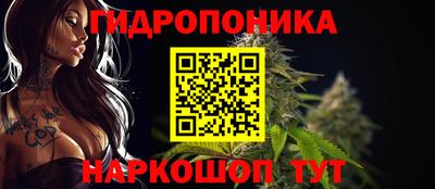 соль ск Новозыбков