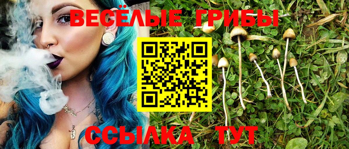 Фролово  Псилоцибиновые грибы прущие грибы  Вход с VPN 